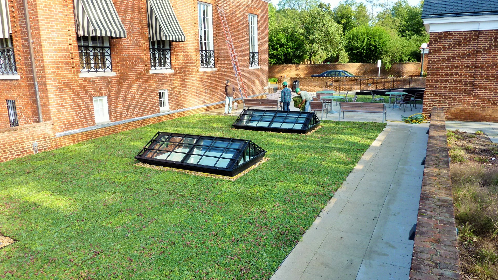 Vegetative roof of UVA's Garrett Hall