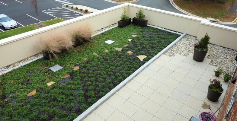 Vegetative roof on Luxor